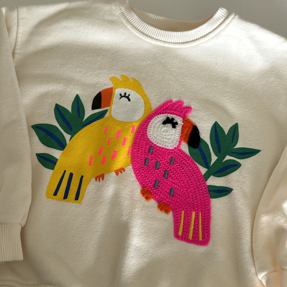 Zara Kids Size 3-4 years Off White Embroidered Parrot Sweatshirt - Picture 2 of 4